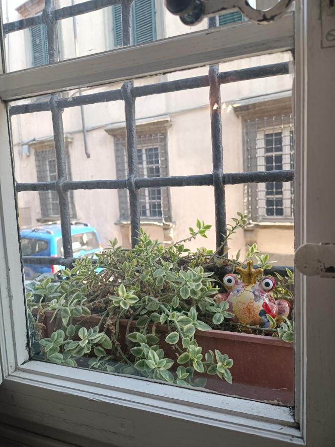 Appartement La Chiocciolina à Lucques Extérieur photo